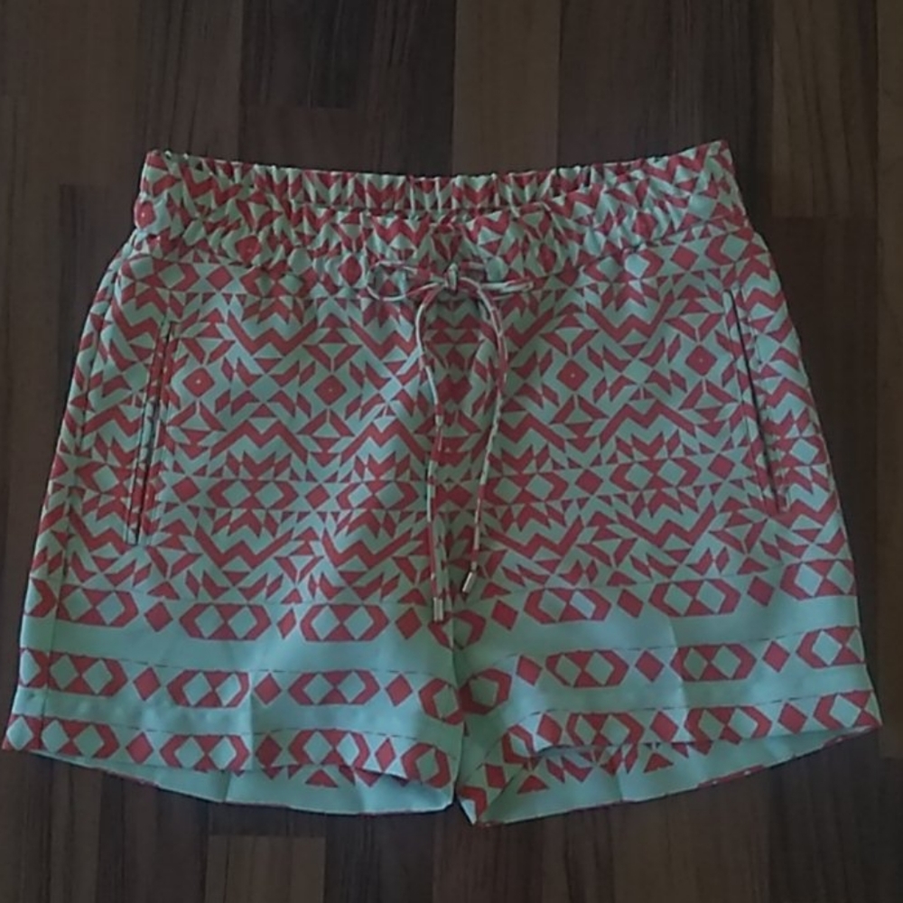 THE LIMITED SHORTS